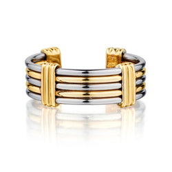 CARTIER 5 row band in Gold  and Steel.